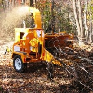Tree Removal & Maintenance