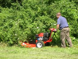 Mowers & Hand Held's