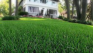 Turf Care