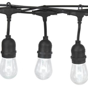 50ft Strand Led Lights