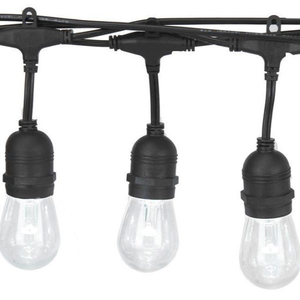 50ft Strand Led Lights